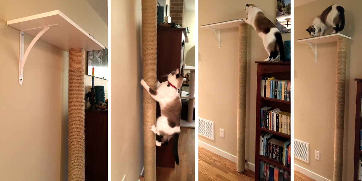 DIY Wall Mounted Cat Tower with Shelf