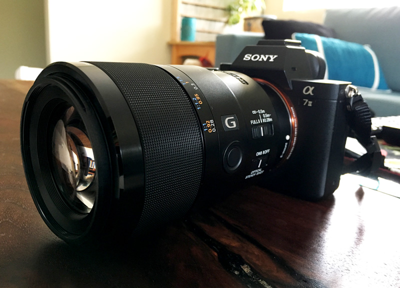 Sony a7ii and 90mm Macro G OSS Lens