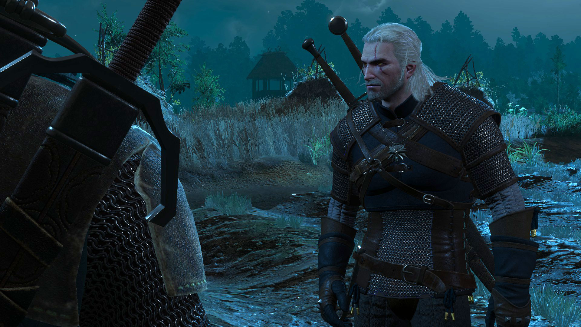 Geralt At Night