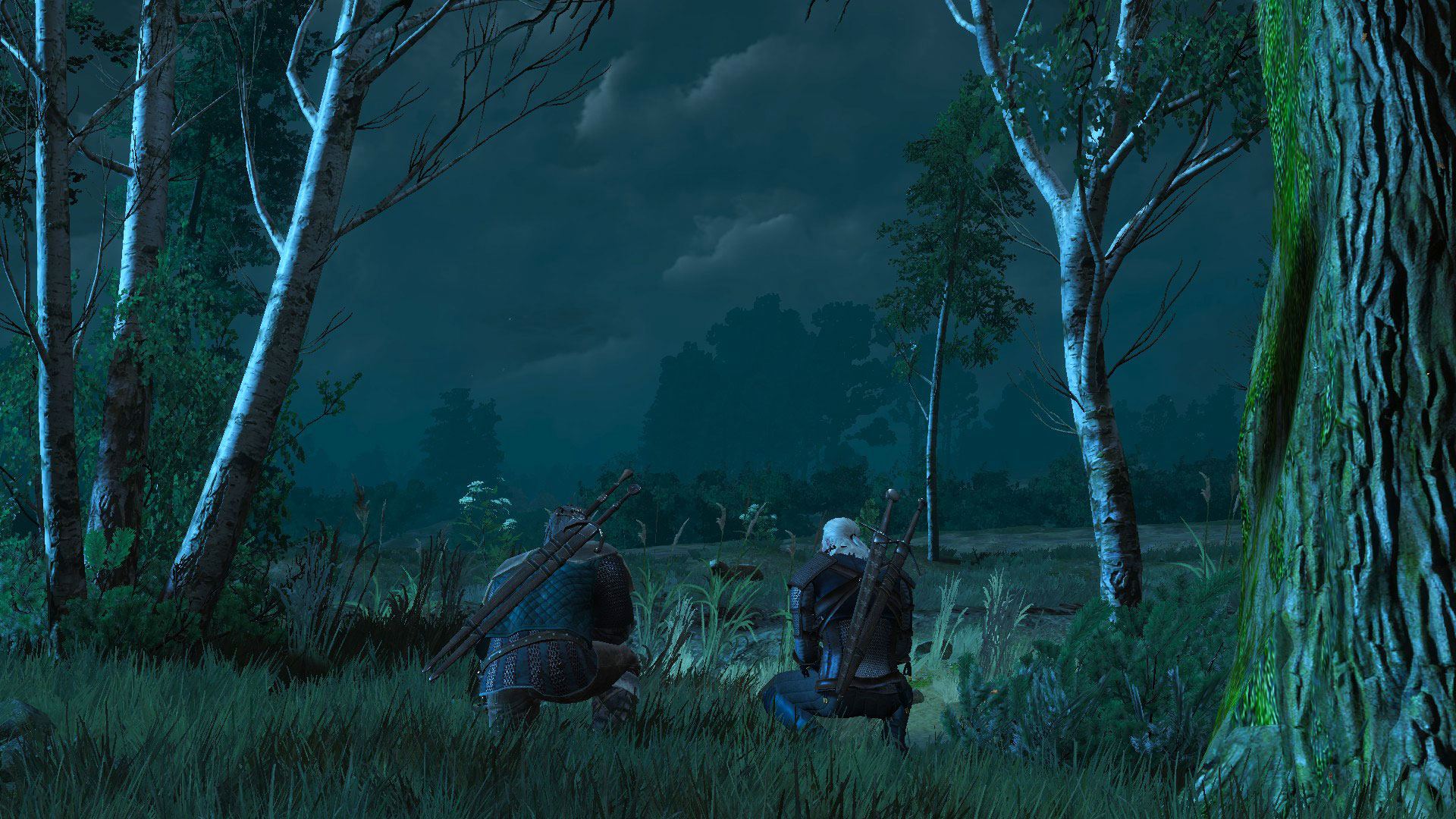 Witchers Stalking