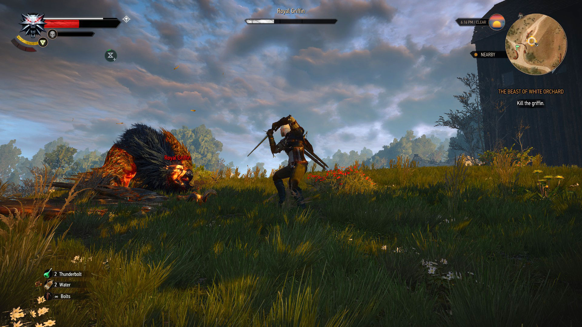 Geralt Vs Royal Griffin