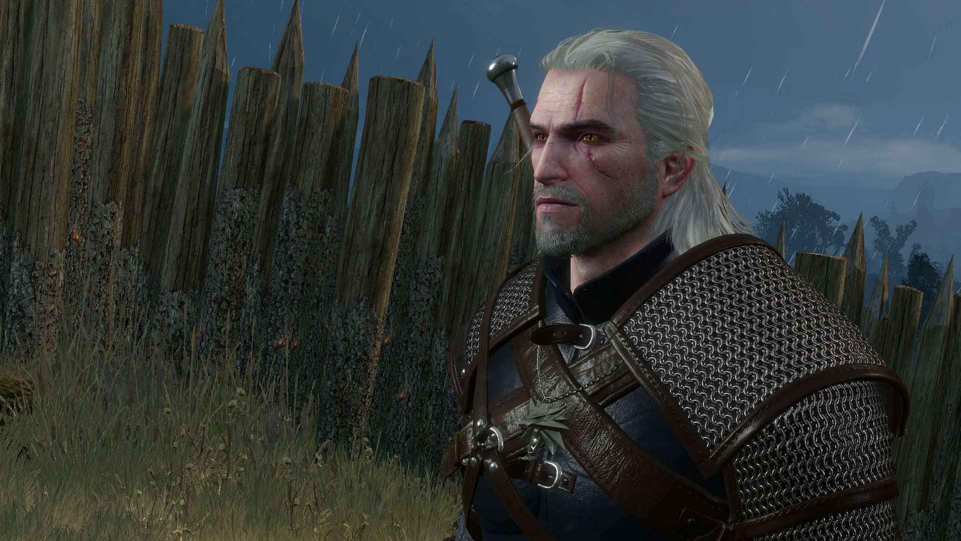 Geralt In The Rain