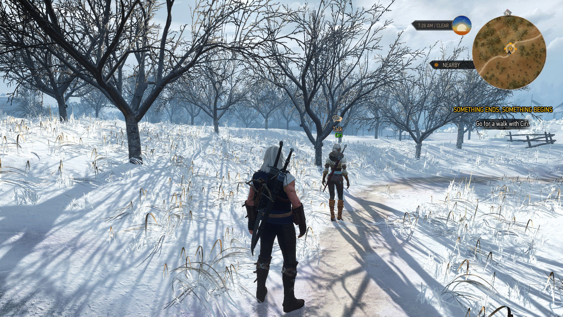 Following Ciri In The Snow